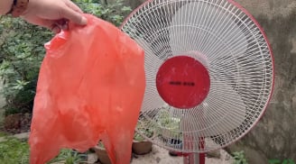 Vệ sinh quạt điện không cần tháo khung, làm theo cách này là loại bỏ hết bụi bẩn