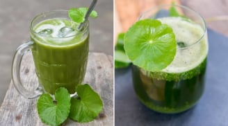 Mùa hè, uống nước rau má hằng ngày để giải nhiệt có tốt không?