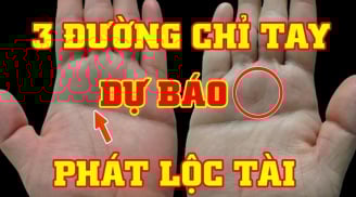 Xoè bàn tay rồi đếm đường chỉ tay: Ra đúng số này làm ăn phất mạnh, giàu to