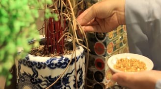 Nhà có 5 thứ đứng im Phước Lộc bền, dịch chuyển là mất lòng Thần Tài, người lẫn của khốn khó