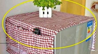 3 vật dụng tuyệt đối không nên đặt trên nóc tủ lạnh nếu không muốn 'ngốn' điện và giảm tuổi thọ thiết bị