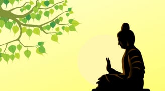3 loại cây linh thiêng gắn liền với cuộc đời Đức Phật. Là cây gì?
