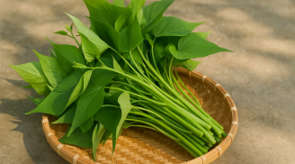 Rau lang – ‘thần dược’ bị lãng quên giúp đẹp da, tốt gan, bổ máu