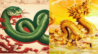Từ Tết Đoan Ngọ, tài vận không thể cản nổi: 3 con giáp bước vào chu kỳ đại vận, 3 năm giẫm lên tiền