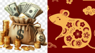 4 con giáp 10 năm tới cơ hội làm giàu tới tấp: Tiền đẻ ra tiền, làm giàu nhẹ tênh, giàu ngột ngạt