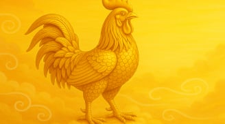 Cuối tuần này (10 - 11/5): 2 con giáp vận đỏ bất ngờ, 2 con giáp chớ nên vội vàng kẻo rước xui xẻo