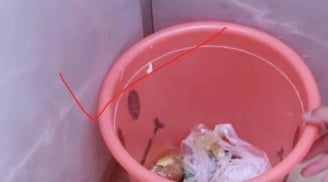 Tổ tiên dặn dò: Đặt thùng rác sai 3 vị trí này, tiền bạc đội nón ra đi, nghèo suốt đời không khá nổi