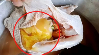 Bụng gà có 1 cục mỡ vàng: Nên ăn hay bỏ? Chỉ người sành ăn mới biết dùng