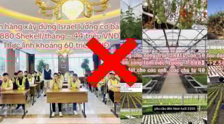 Cảnh báo: Tin tuyển dụng xuất khẩu lao động Israel là lừa đảo?