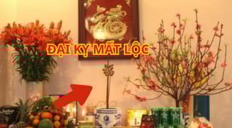 Tại sao ban thờ gia tiên không nên dùng chân hương vòng? Nhiều người hiểu sai làm Mất Lộc