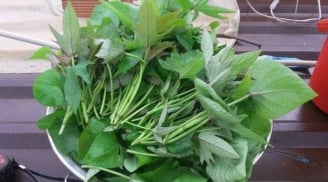 8 loại rau sạch, ngon, bổ dưỡng bạn nên mua ngay khi đi chợ – Không lo bị phun thuốc!