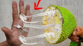 Bóc mít dính đầy nhựa trên tay? Dùng ngay gia vị quen thuộc này, sạch bong trong vài giây