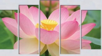Trong nhà có 3 bức tranh phong thủy may mắn này, cuộc đời bạn sẽ thay đổi hoàn toàn tích cực