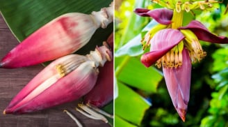 Hoa chuối - món ăn dân dã mang lại 8 lợi ích tuyệt vời cho sức khỏe