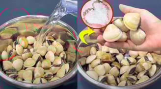 Rửa ngao ốc, người cho ớt, người cho rượu, sai hết: Thêm vào thứ này ngao ốc nhả sạch bẩn