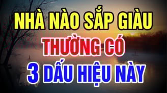 Tổ tiên dặn: 'Nhà to hay nhỏ không quan trọng, chỉ cần có nhiều 3 thứ này con cháu giàu có 3 đời'