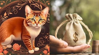Thần may mắn tháng 6 gọi tên 3 con giáp này: Cơ hội làm giàu tới tấp, của cải chất đầy