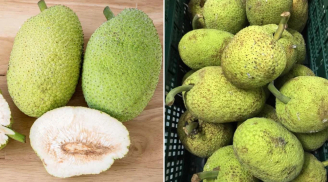 Loại quả nhìn bên ngoài giống mít khiến nhiều người nhầm: Hương vị khác hẳn mít, làm được nhiều món ngon