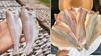 Loại cá ngày xưa chẳng ai thèm ăn, giờ thành đặc sản được xuất khẩu, tranh nhau mua