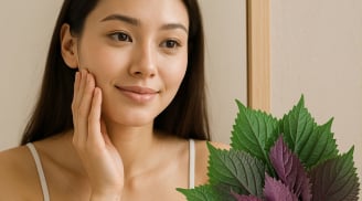 5 cách dùng rau tía tô giúp Da Sáng bóng, Sạch mụn, đều màu da