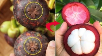 Mẹo chọn măng cụt tươi ngon, cùi dày, ngọt lịm, 10 quả như 10