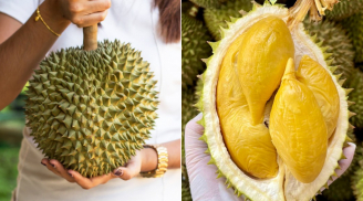 Mua sầu riêng phải nhìn đúng điểm này, chọn được chín ngọt tự nhiên, không hóa chất