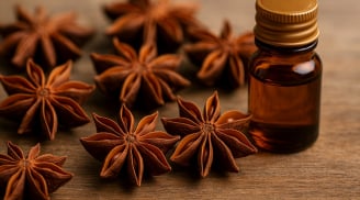 Thứ quả tưởng chỉ để nấu phở, Việt Nam xuất khẩu gần 22 triệu USD trong 4 tháng, Ấn Độ mê mẩn