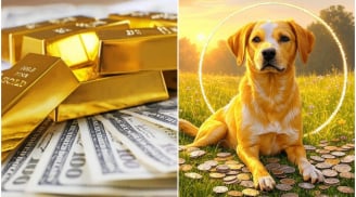 Đất Trời Chứng Dám: 3 tuổi Ăn Ở Phúc Đức, Tiền vào như nước Sông Đà, 1 tuổi Trúng Số ngồi không cũng giàu