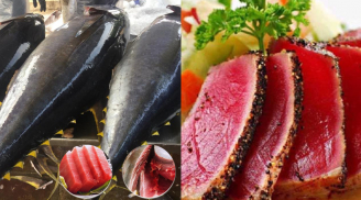 Nga chi triệu đô nhập cá ngừ Việt: Giàu vitamin D, tốt cho tim và vóc dáng