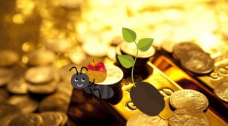 Top 4 tuổi: Trẻ gặp thử thách, sau tuổi 45 đại vận ào tới, Giàu có vang danh, trong Mệnh ẩn vàng