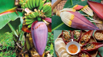 5 công dụng bất ngờ của Hoa Chuối, món ăn rẻ tiền giàu dinh dưỡng, nam nữ đều hưởng lợi