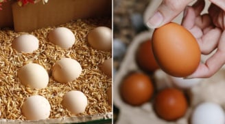 Bảo quản trứng không cần tủ lạnh không khó, làm theo cách này, để cả tháng trứng vẫn tươi ngon