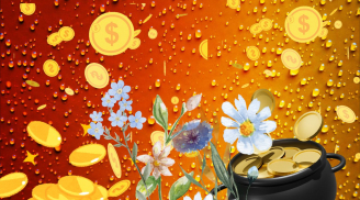 Kể từ 1/6: Top 4 tuổi có Quý Nhân Dẫn Đường, Cát Tinh Hội Tụ, Giàu lên trông thấy