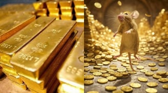 3 tuổi Đệ Tử Thần Tài: Mưa Tài Lộc, Trúng Số Độc Đắc giàu số 2 không ai số 1, nhất tuổi số 3