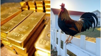 Gà gáy sang canh ngày 1/6: 3 tuổi Âm Phù Dương Trợ, Vận Khí Tăng Cao, Tiền về như nước