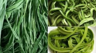 Bật mí loại rau đắt hơn thịt, bổ ngang nhân sâm, Việt Nam có nhiều nhưng ít người biết để ăn