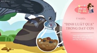Con cái ương bướng hỗn hào: Áp dụng ngay 'Luật Quạ' này dạy con văn minh, đúng cách