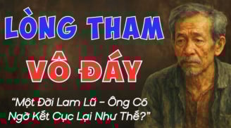3 thứ ở đời, càng Tham càng Thiệt, biết đủ mới mau giàu