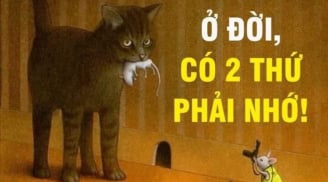 Cuộc đời chỉ có 2 thứ thật sự thuộc về bạn: Có người đến cuối đời mới nhận ra đã quá muộn