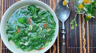 3 loại rau mọc hoang như cỏ dại ở Việt Nam nhưng là thuốc quý ít ai ngờ tới