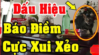 Nhà có 4 dấu hiệu này điềm báo xui xẻo: Họa từ phương xa mang tới, nên thận trọng