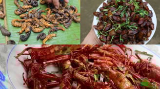 “Sợ xanh mặt” với 3 đặc sản miền Bắc: Nhìn rùng mình nhưng ăn là mê