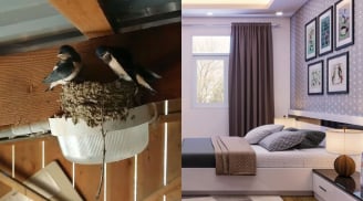 5 hiện tượng báo tin trúng lộc trời, nhà sắp đón tiền tài ùn ùn kéo đến