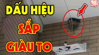 Tổ Tiên nói: 'Mở cửa thấy ngay 3 thứ là Điềm Lành, con cháu đời đời giàu có', đó là gì?