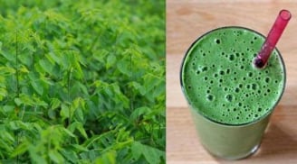 5 công dụng vượt trội của nước ép rau ngót khiến chị em sốt sình sịch