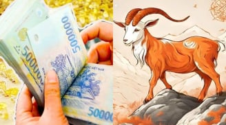 15 ngày liên tiếp (11-25/6): 4 con giáp giẫm lên tiền thành ông hoàng thịnh vượng, no nê tài lộc