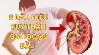 8 Dấu Hiệu Suy Thận Giai Đoạn Đầu: Phát hiện sớm cứu cả cuộc đời