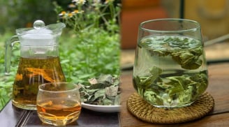 Lấy nắm lá này đun nước uống, mỗi ngày một cốc giúp giảm mỡ máu