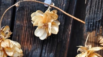 Tổ tiên căn dặn: Tuyệt đối đừng giữ 5 thứ này trong nhà, kẻo rước họa vào thân, nợ nần tứ phía