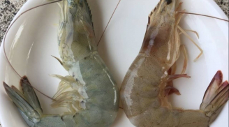 Cách phân biệt tôm nuôi và tôm tự nhiên chuẩn nhất – Người bán tiết lộ mẹo ai cũng làm được